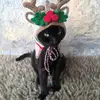 JoAnne Heim - @joanne.heim - TikTok