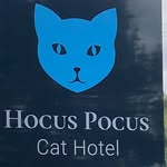 Joanne Herbert - @hocus.pocuscat_hotel - Instagram