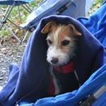 Joanne Herbert - @joanneherbert8319 - Instagram