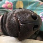 Joanne Herbert - @joanne.herbert63 - Instagram