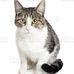 Joanne Herman - Facebook