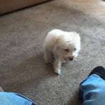 Joanne Hernandez - @joanne.hernandez.144181 - Instagram