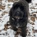 Joanne Hines - Facebook