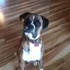 joannederhoff - @joannederhoff - TikTok