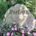 Treetops in Falmouth, MA by Joanne Hofmann Sexeny of Compass Real Estate - Facebook