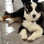 Joanne Facette Houle - @facettehoule - Instagram