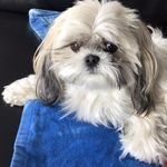 Joanne Gauvin - @joannehoulehotmailcom - Instagram