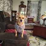 Joanne Huffman - @joanne.huffman.5473 - Instagram