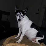 Joanne Huffman - @joanne.huffman.92 - Instagram