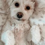 Joanne Huffman - @joannehoppe - Instagram