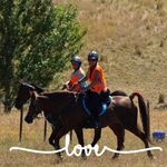 Joanne Hull - @joanne.hull.714 - Instagram