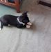 Joanne Hutton - Facebook