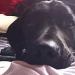 Joanne Hutton - @joanne.hutton.357 - Instagram