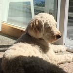 Jivey - @joanne_ivey - Instagram