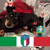 joanneizzopica - @joanneizzopica - TikTok
