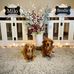 Joann Jeffries - Facebook