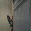 Joanne Keane - @joanne.keane - TikTok