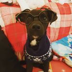 Joanne Keane - @joannekeane123 - Instagram