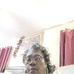 Joanne Keith - Facebook