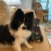 Joann Fussell Kidd - Facebook