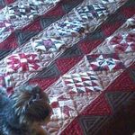 Joanne DeLonge Kiley - @magpiescottage - Instagram