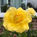 Joanne Lacey - @joanne.lacey.397 - Instagram