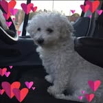 Joanne Lamb - @jolamb1971 - Instagram