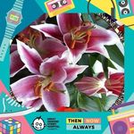 Joanne Lambert - @joanne.lambert.54966 - Instagram