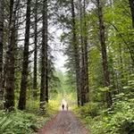 Joanne Ballance - @joanneballance - Instagram