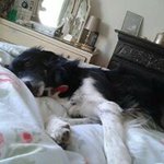 Joanne Lang - @joanne.lang - Instagram