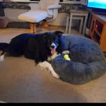 Joanne Lang - @joan.nelang1 - Instagram