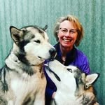 Joanne Lang - @mydogmassage - Instagram