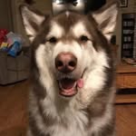 Joanne Lang - @joanne.lang.58 - Instagram