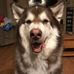 Joanne Lang - Facebook