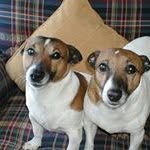 Joanne Lang - @joannelang1970 - Instagram