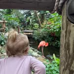 Joanne Langille - @jrlangille68 - Instagram