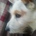 Joanne Langston - Facebook