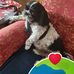 Joanne Lapierre - Facebook