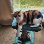 Joanne Lapierre - @joanne.lapierre.395 - Instagram