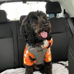 Joanne Lester - @jolest72 - Instagram