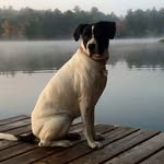 Joanne Libby - @joanne.libby.7 - Instagram