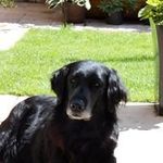 Jo-Anne Lister - @joanne.lister - Instagram