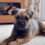 Joanne Lowry - @joraytara - Instagram