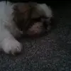 joannelowry03 - @joannelowry03 - TikTok