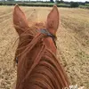Joanne Lyons - @joannelyons55 - TikTok