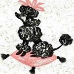 Joanne Manners - @theperfectpoodle - Instagram