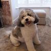 Joanne Marchington - @joannemarchington - TikTok