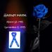JoAnne Mark - Facebook