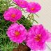 Joanne Mark - Facebook