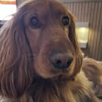 Joanne Marlow - Facebook